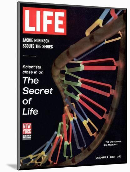 Partial DNA Helix Model, Advances in Gene Research, October 4, 1963-Fritz Goro-Mounted Photographic Print