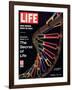 Partial DNA Helix Model, Advances in Gene Research, October 4, 1963-Fritz Goro-Framed Photographic Print