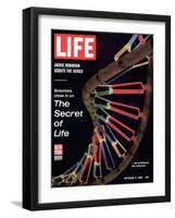 Partial DNA Helix Model, Advances in Gene Research, October 4, 1963-Fritz Goro-Framed Photographic Print