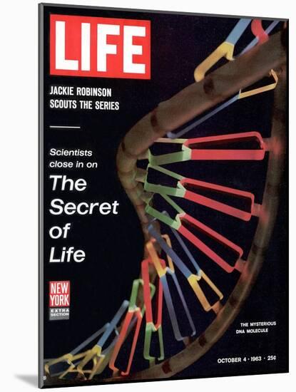 Partial DNA Helix Model, Advances in Gene Research, October 4, 1963-Fritz Goro-Mounted Photographic Print