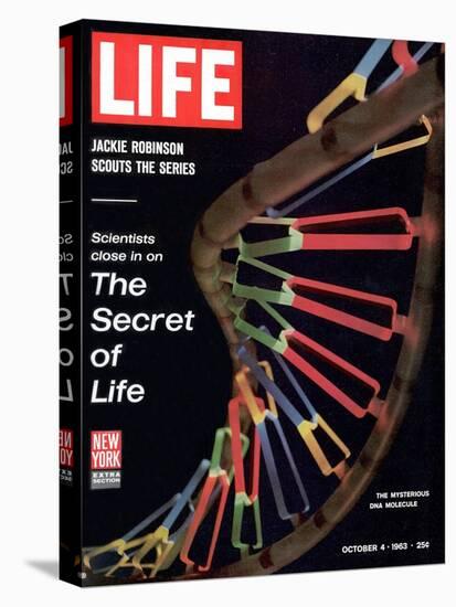 Partial DNA Helix Model, Advances in Gene Research, October 4, 1963-Fritz Goro-Stretched Canvas