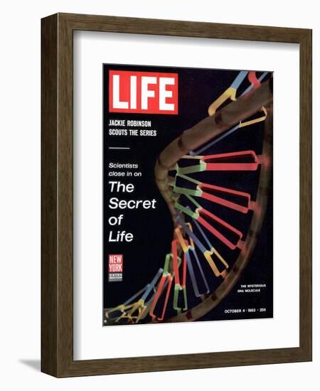 Partial DNA Helix Model, Advances in Gene Research, October 4, 1963-Fritz Goro-Framed Photographic Print