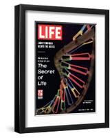 Partial DNA Helix Model, Advances in Gene Research, October 4, 1963-Fritz Goro-Framed Photographic Print