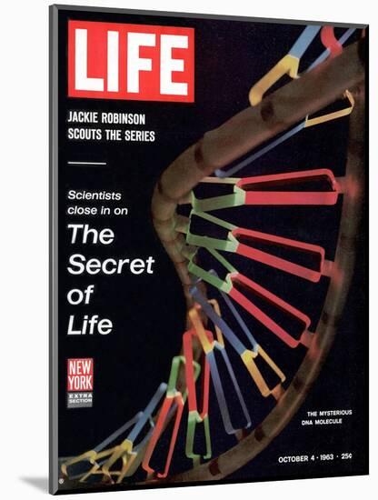 Partial DNA Helix Model, Advances in Gene Research, October 4, 1963-Fritz Goro-Mounted Photographic Print