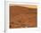 Partial Seminole Panorama of Mars-Stocktrek Images-Framed Photographic Print