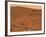 Partial Seminole Panorama of Mars-Stocktrek Images-Framed Photographic Print