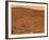 Partial Seminole Panorama of Mars-Stocktrek Images-Framed Photographic Print