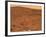 Partial Seminole Panorama of Mars-Stocktrek Images-Framed Photographic Print