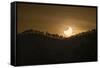 Partial solar eclipse, Australia-null-Framed Stretched Canvas