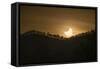 Partial solar eclipse, Australia-null-Framed Stretched Canvas