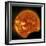 Partial Solar Eclipse-null-Framed Premium Photographic Print