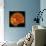 Partial Solar Eclipse-null-Photographic Print displayed on a wall