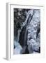 Partially frozen Fletcher Falls, British Columbia, Canada-Howie Garber-Framed Photographic Print