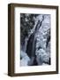 Partially frozen Fletcher Falls, British Columbia, Canada-Howie Garber-Framed Photographic Print