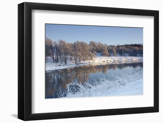 Partially Frozen River Spey in Winter, Cairngorms Np, Scotland, UK, December 2012-Mark Hamblin-Framed Photographic Print