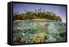 Partially Submerged View of Shoreline with Palm Trees, Solomon Islands, Pacific-James-Framed Stretched Canvas