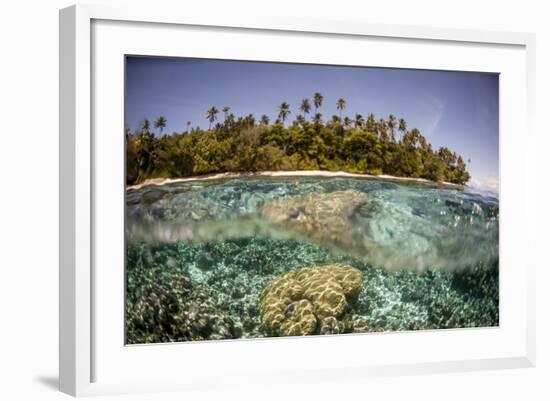 Partially Submerged View of Shoreline with Palm Trees, Solomon Islands, Pacific-James-Framed Photographic Print