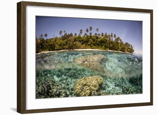 Partially Submerged View of Shoreline with Palm Trees, Solomon Islands, Pacific-James-Framed Photographic Print