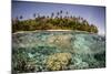 Partially Submerged View of Shoreline with Palm Trees, Solomon Islands, Pacific-James-Mounted Photographic Print