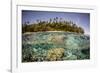 Partially Submerged View of Shoreline with Palm Trees, Solomon Islands, Pacific-James-Framed Photographic Print