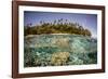 Partially Submerged View of Shoreline with Palm Trees, Solomon Islands, Pacific-James-Framed Photographic Print