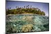 Partially Submerged View of Shoreline with Palm Trees, Solomon Islands, Pacific-James-Mounted Photographic Print