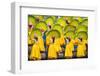 Participants perfrom at Dinagyang Festival, Iloilo City, Western Visayas, Philippines-Jason Langley-Framed Photographic Print