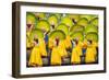 Participants perfrom at Dinagyang Festival, Iloilo City, Western Visayas, Philippines-Jason Langley-Framed Photographic Print