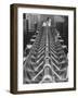 Particle Accelerator, Cern, Geneva, 20th Century-null-Framed Photographic Print