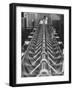 Particle Accelerator, Cern, Geneva, 20th Century-null-Framed Photographic Print