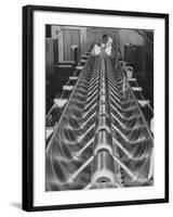 Particle Accelerator, Cern, Geneva, 20th Century-null-Framed Photographic Print