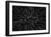 Particle or Space Traveling. Particle Zoom Background.-Aperture75-Framed Art Print
