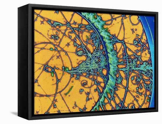 Particle Tracks-Patrice Loiez-Framed Stretched Canvas