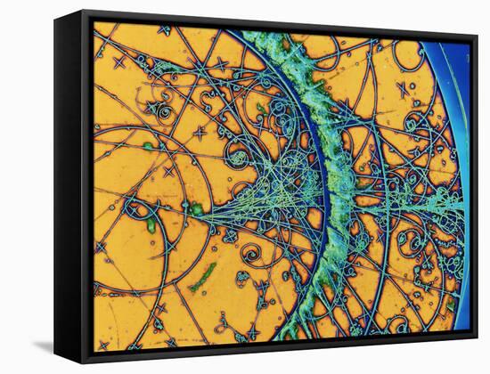 Particle Tracks-Patrice Loiez-Framed Stretched Canvas