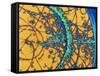 Particle Tracks-Patrice Loiez-Framed Stretched Canvas