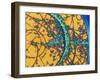 Particle Tracks-Patrice Loiez-Framed Premium Photographic Print