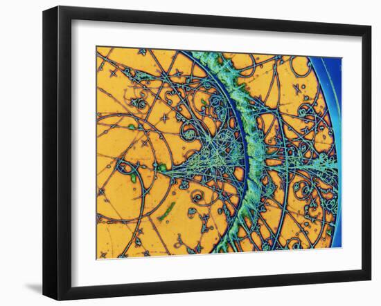 Particle Tracks-Patrice Loiez-Framed Photographic Print