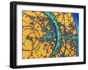 Particle Tracks-Patrice Loiez-Framed Photographic Print