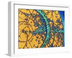 Particle Tracks-Patrice Loiez-Framed Photographic Print