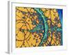 Particle Tracks-Patrice Loiez-Framed Photographic Print