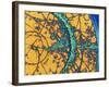 Particle Tracks-Patrice Loiez-Framed Photographic Print