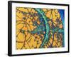 Particle Tracks-Patrice Loiez-Framed Photographic Print