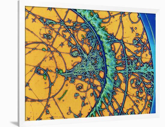 Particle Tracks-Patrice Loiez-Framed Photographic Print