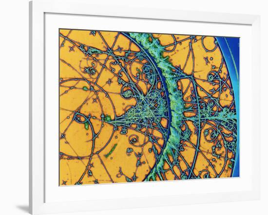 Particle Tracks-Patrice Loiez-Framed Photographic Print