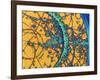 Particle Tracks-Patrice Loiez-Framed Photographic Print