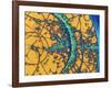 Particle Tracks-Patrice Loiez-Framed Photographic Print