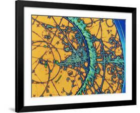 Particle Tracks-Patrice Loiez-Framed Photographic Print