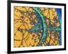 Particle Tracks-Patrice Loiez-Framed Photographic Print