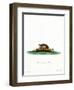 Particoloured Bat-null-Framed Premium Giclee Print