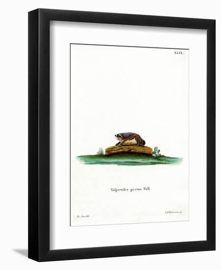 Particoloured Bat-null-Framed Premium Giclee Print